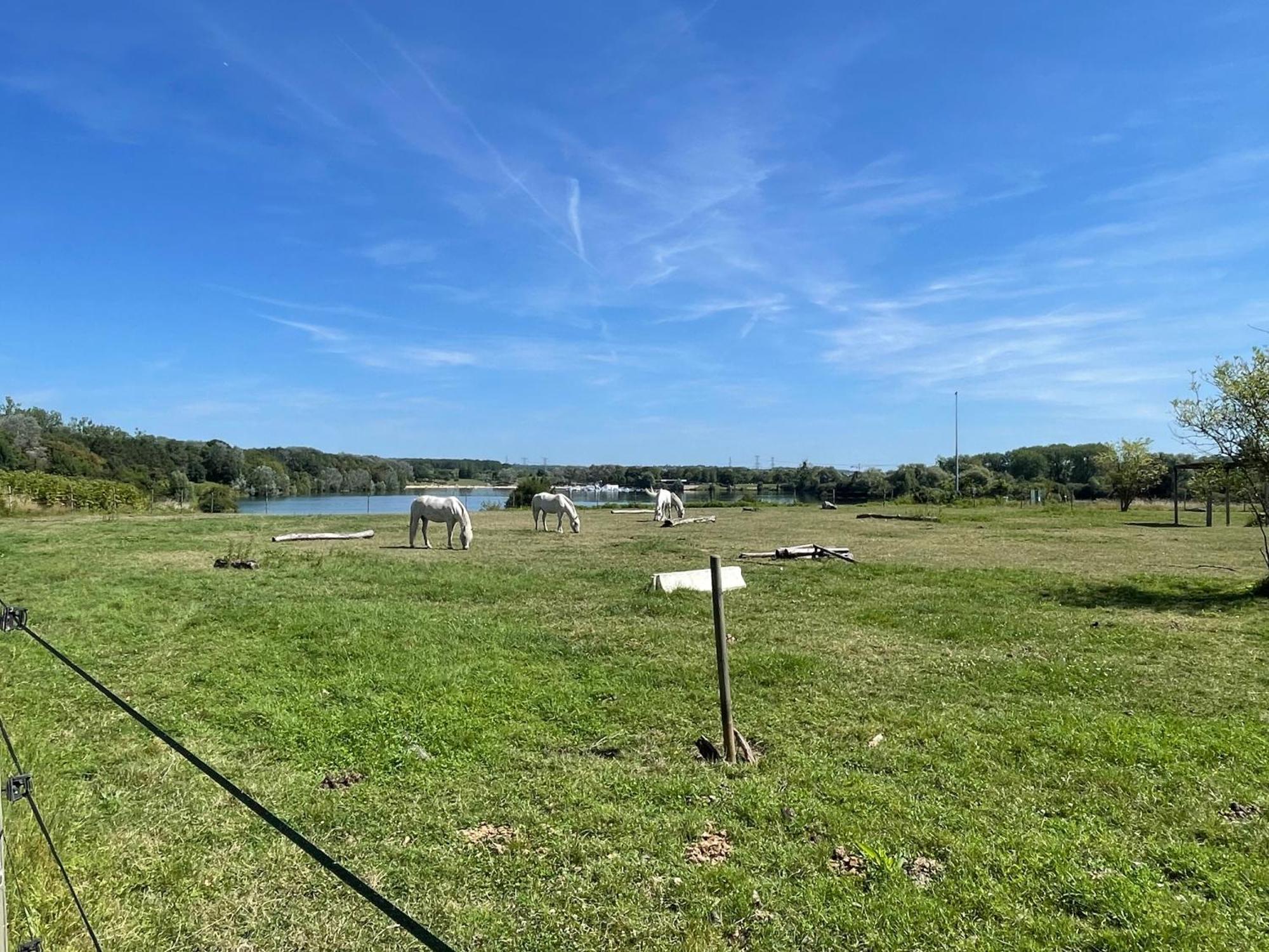 Chambre Climatisee, Entre Paris Disneyland, Au Coeur Des Jeux Olympiques Canoe-Kayak, Vaires-sur-Marne Zewnętrze zdjęcie